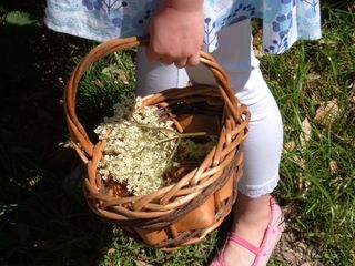 Macy elderflower basket