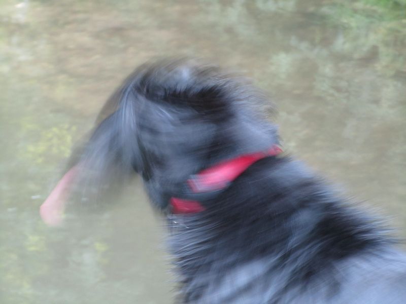 Playing in the river June 2011 076