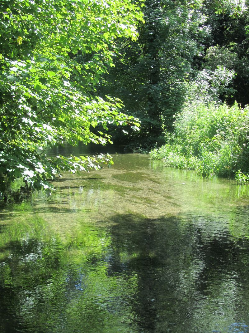 Fishing june 2011 115