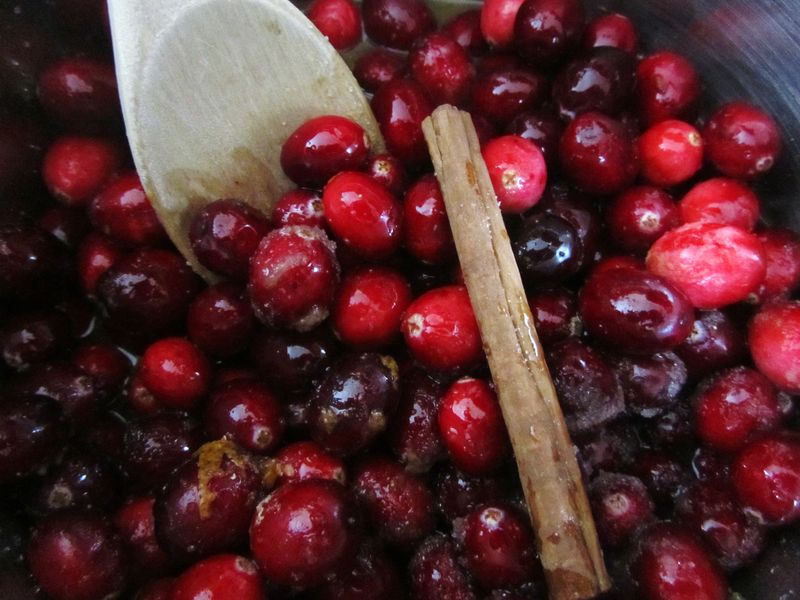 Cranberry sauce 011